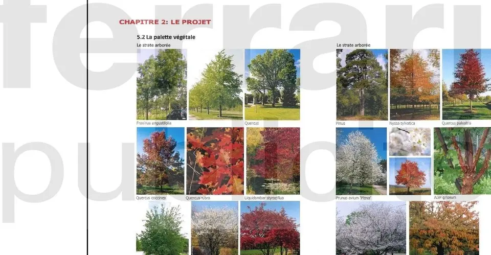 Photo principale du bien